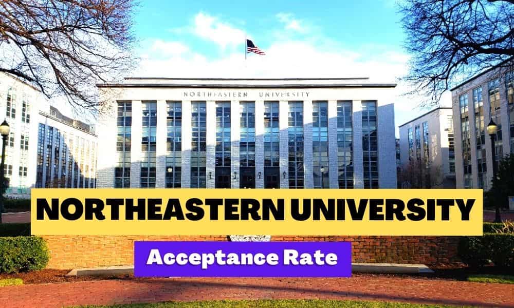 Northeastern University Transfer Acceptance Rate