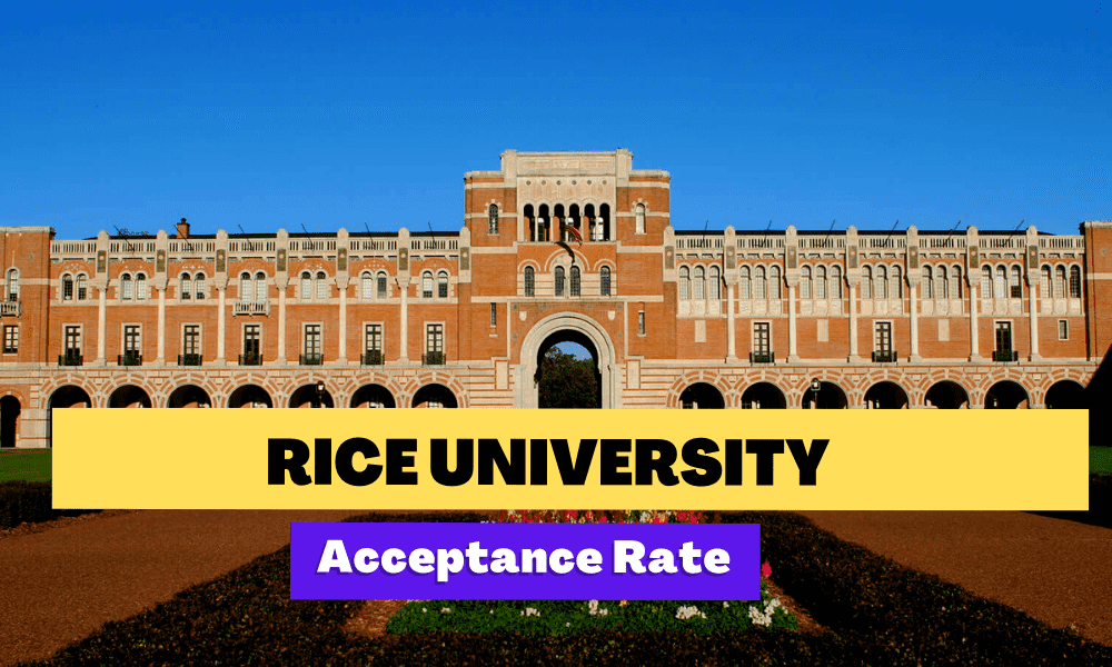 Rice University Transfer Acceptance Rate